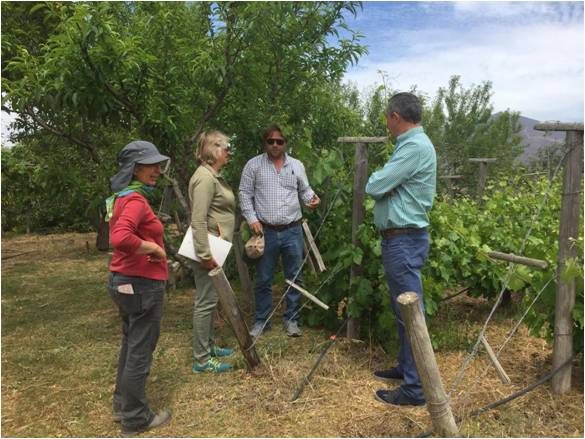 Productoras y productores conversando durante una visita a un huerto